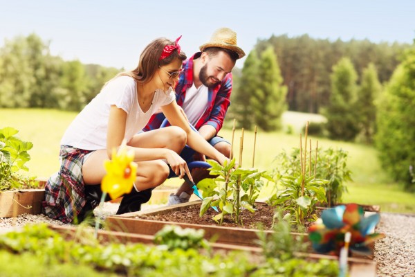 shutterstock_435282436-600x400.jpg