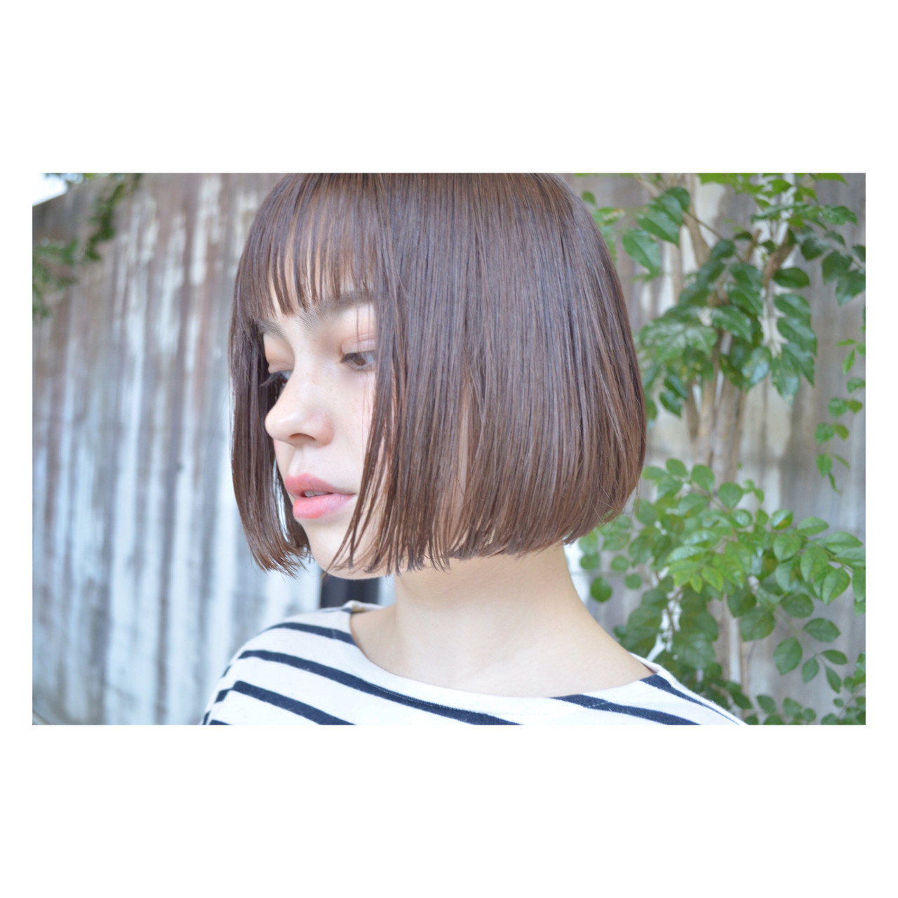 taichi