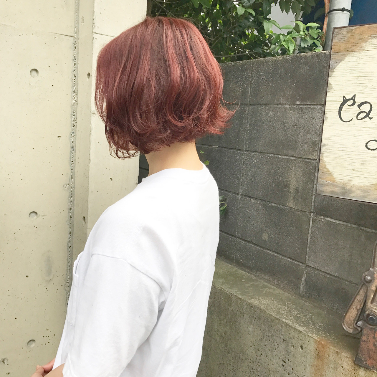 Wataru