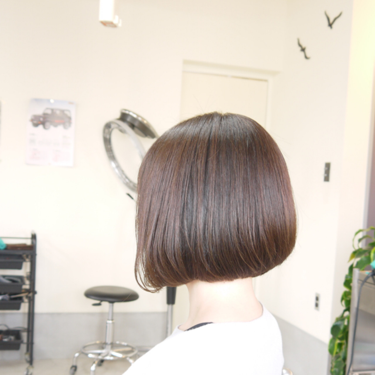 72ab9b052572ee18a6a18c78d6cd427a_b88adea